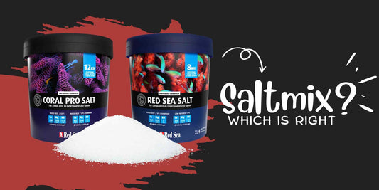 Choosing the Right Salt Mix for Your Marine Tank