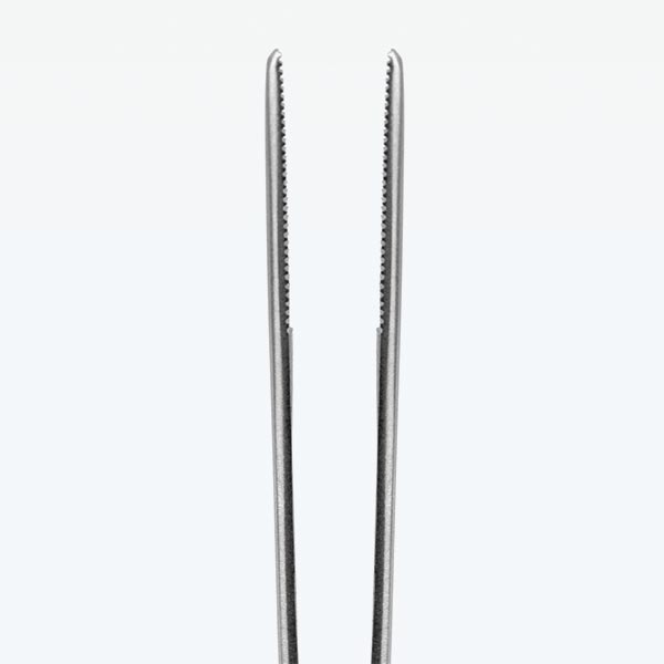 Aquavitro Curved Fine Tip Forceps | FishyPH